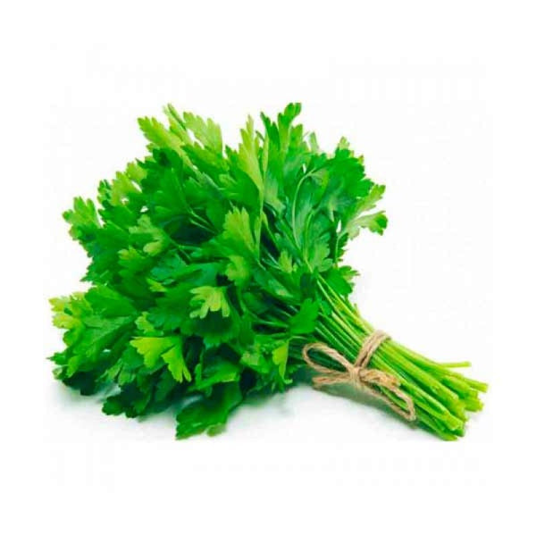 Coriander Bunch